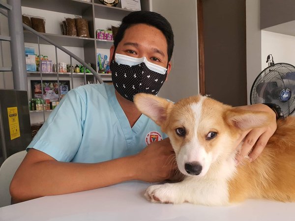 Tips for the first vet visit